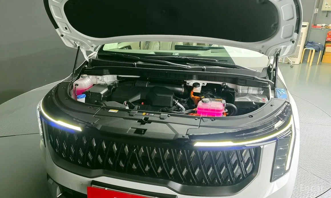 Фото 6 - Kia Carnival