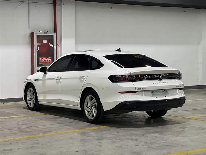 Фото 4 - Volkswagen Lamando L