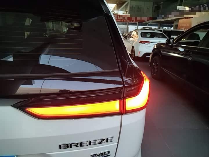 Фото 8 - Honda Breeze