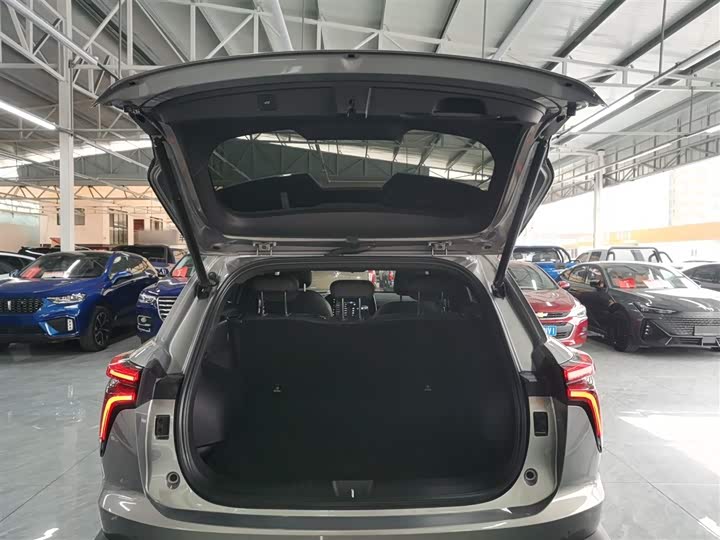 Фото 19 - Haval F7 (Monster)