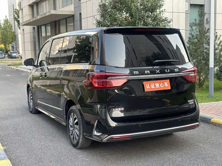 Фото 7 - Maxus G20