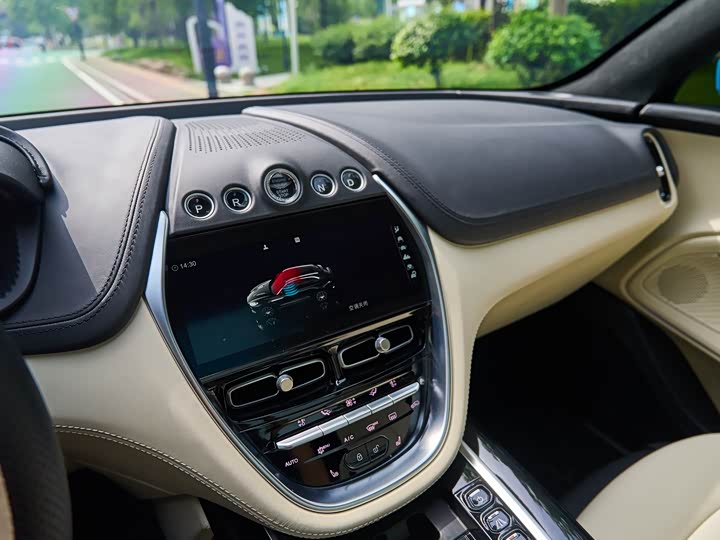 Фото 14 - Aston Martin DBX