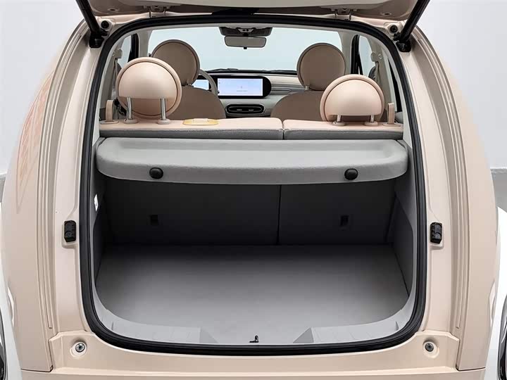 Фото 16 - Ora Ballet Cat