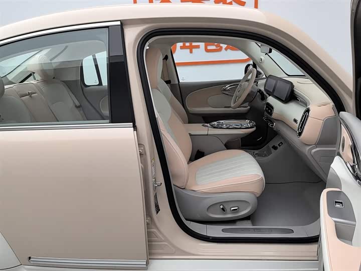 Фото 23 - Ora Ballet Cat