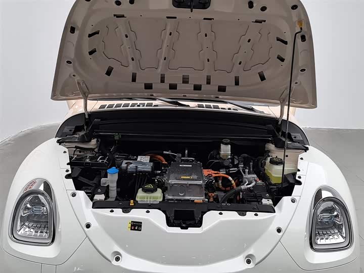 Фото 6 - Ora Ballet Cat