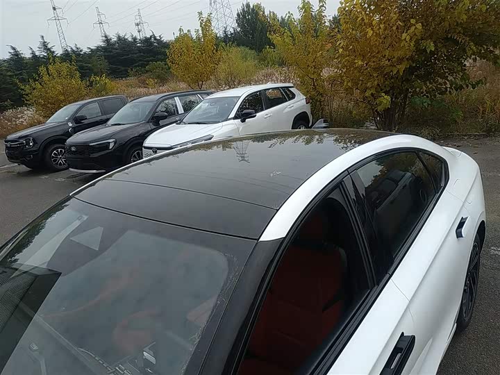 Фото 27 - Lincoln Z (Zephyr)