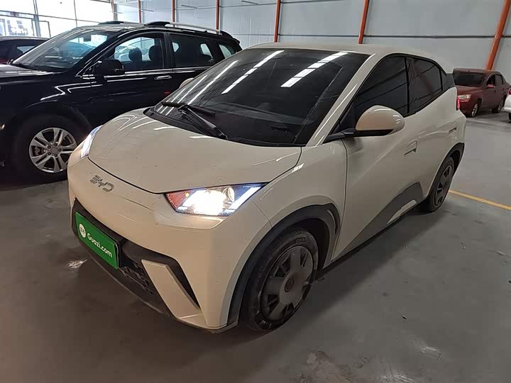 Фото 1 - BYD Seagull