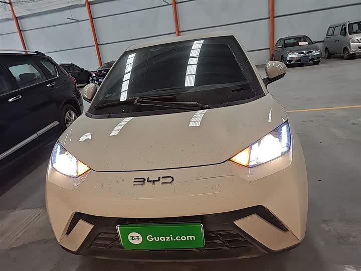 Фото 3 - BYD Seagull