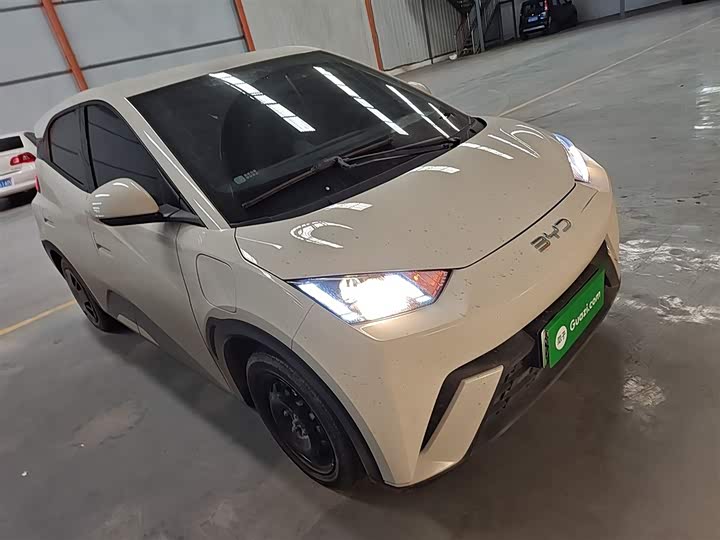 Фото 4 - BYD Seagull