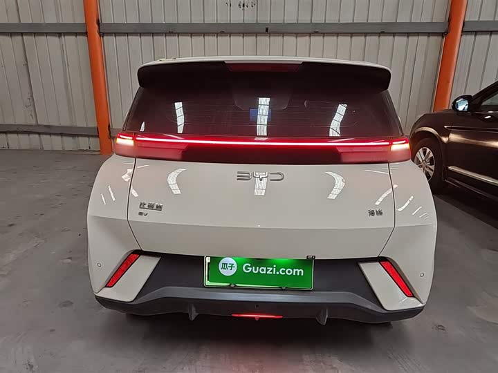 Фото 6 - BYD Seagull