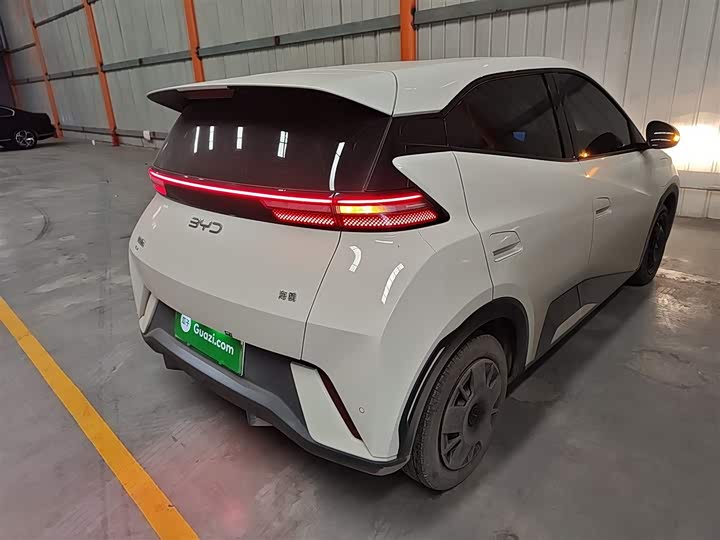 Фото 7 - BYD Seagull