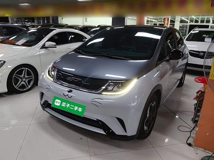 Фото 2 - BYD Dolphin