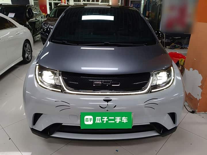 Фото 3 - BYD Dolphin