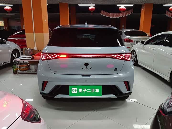 Фото 6 - BYD Dolphin