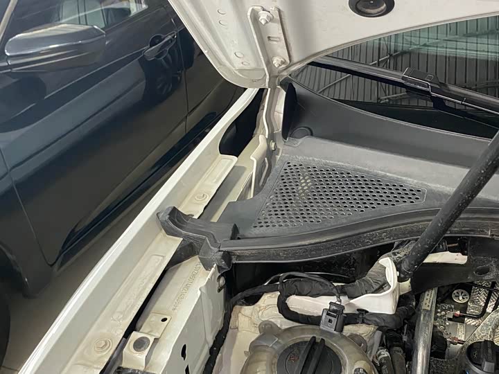 Фото 31 - Volkswagen Tiguan L Pro