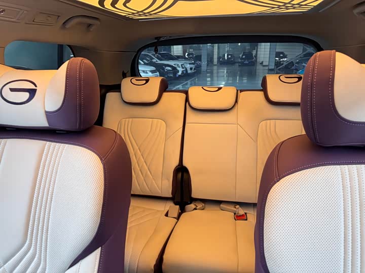 Фото 12 - GAC Trumpchi M8