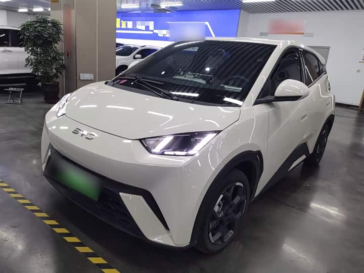 Фото 2 - BYD Seagull