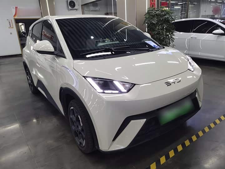 Фото 4 - BYD Seagull