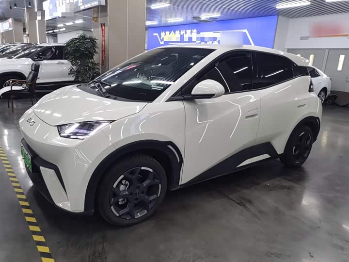 Фото 5 - BYD Seagull