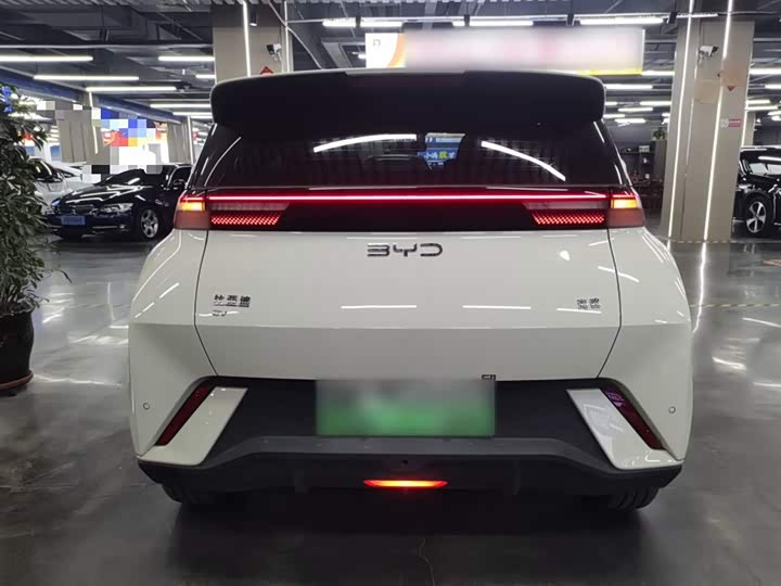 Фото 6 - BYD Seagull