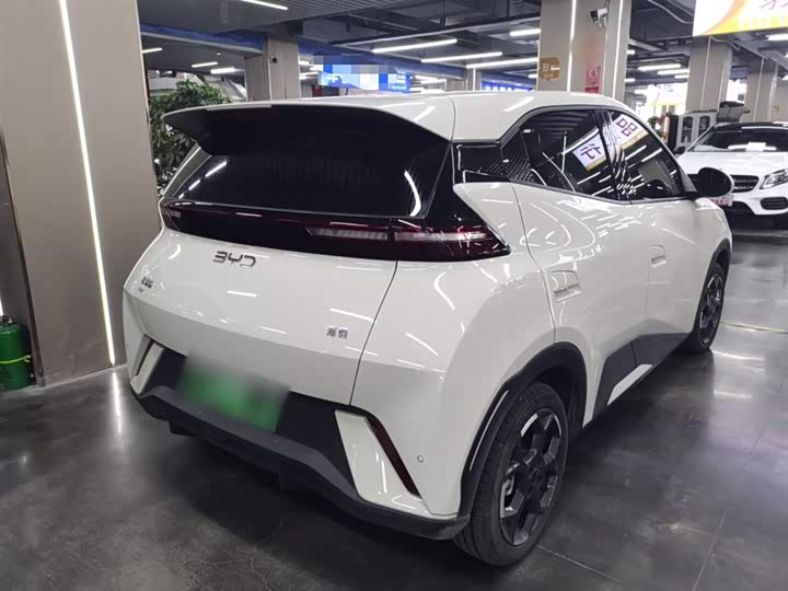 Фото 7 - BYD Seagull