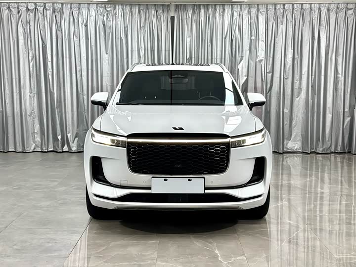 Фото 2 - LiXiang One