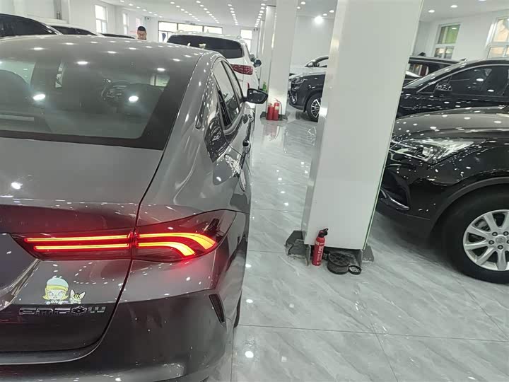 Фото 8 - GAC Trumpchi Empow R