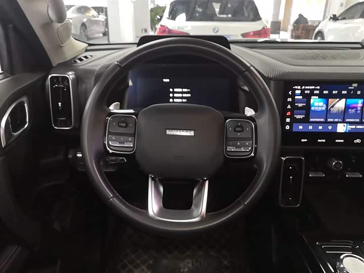 Фото 11 - Haval Dargo