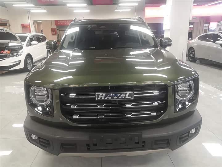 Фото 3 - Haval Dargo