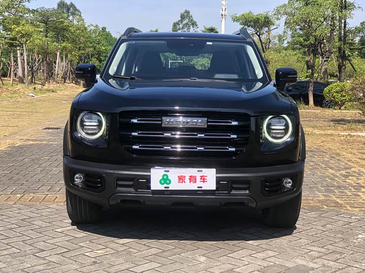 Фото 2 - Haval Dargo