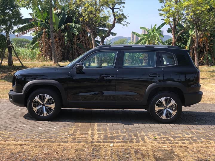 Фото 4 - Haval Dargo