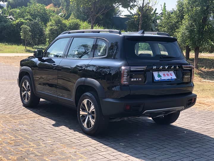 Фото 5 - Haval Dargo