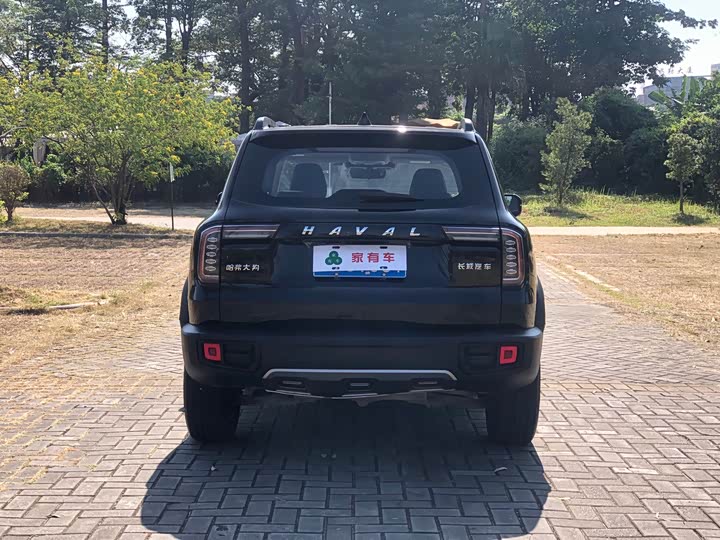 Фото 6 - Haval Dargo