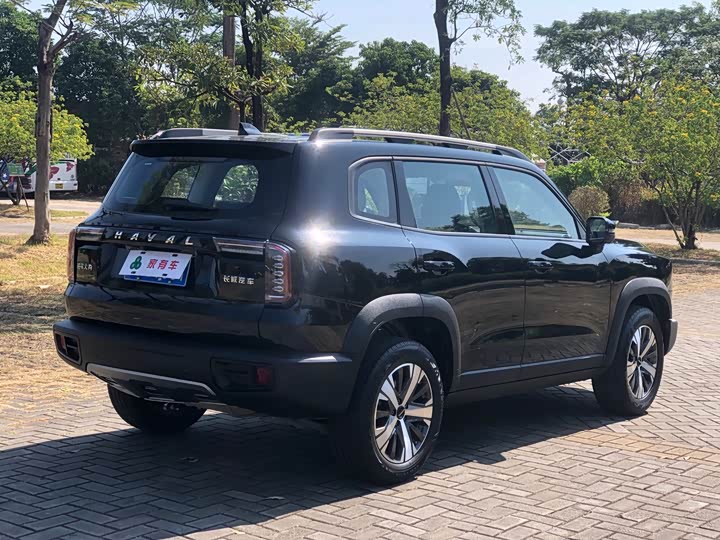 Фото 7 - Haval Dargo