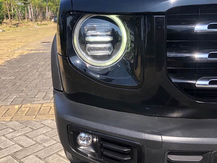 Фото 9 - Haval Dargo