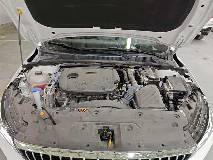 Фото 20 - Geely Emgrand