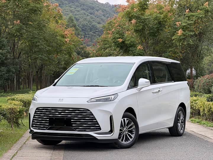 Фото 1 - Buick GL8 ES