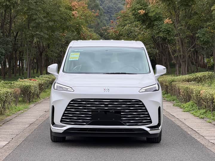 Фото 2 - Buick GL8 ES