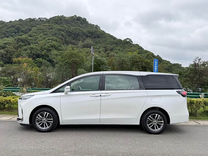 Фото 4 - Buick GL8 ES