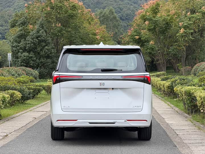 Фото 5 - Buick GL8 ES