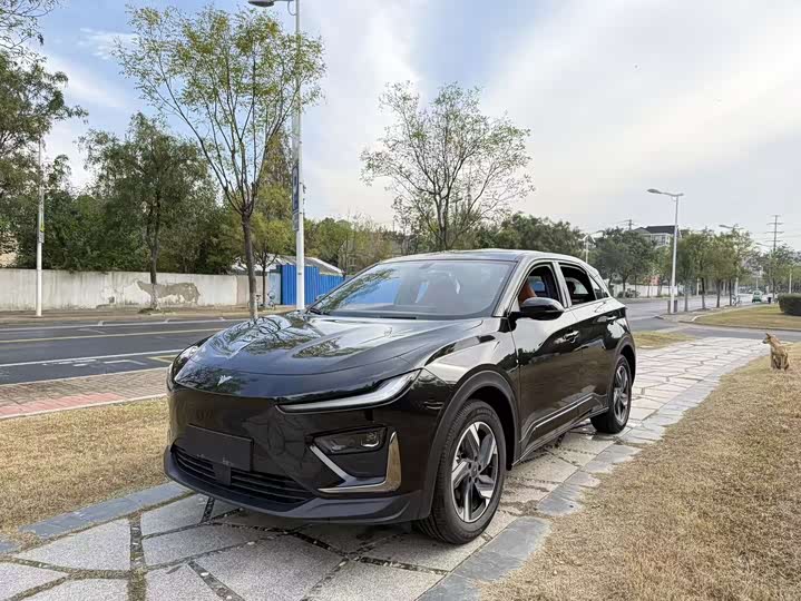 Фото 1 - Hozon X