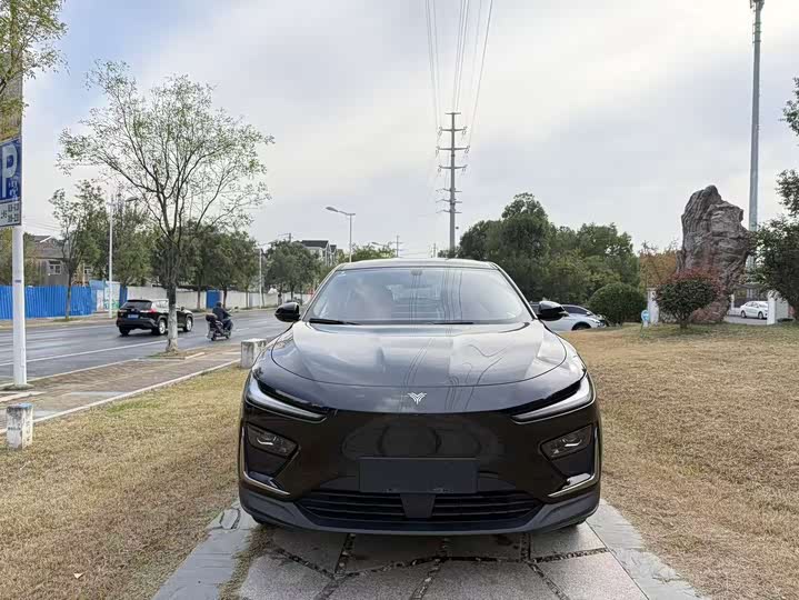 Фото 2 - Hozon X