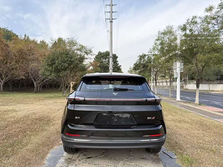 Фото 7 - Hozon X