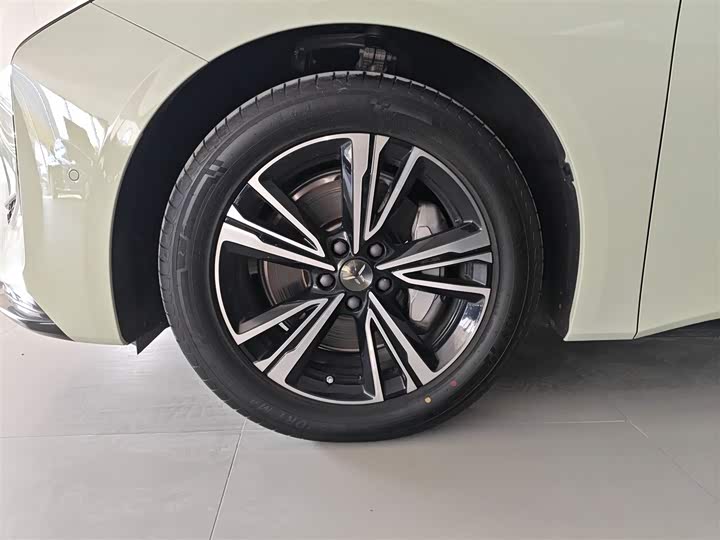 Фото 23 - Hongqi EH7