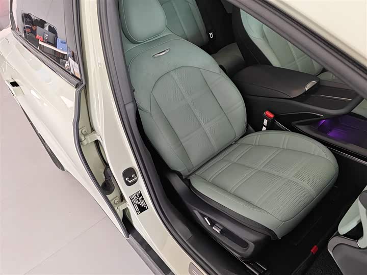 Фото 25 - Hongqi EH7