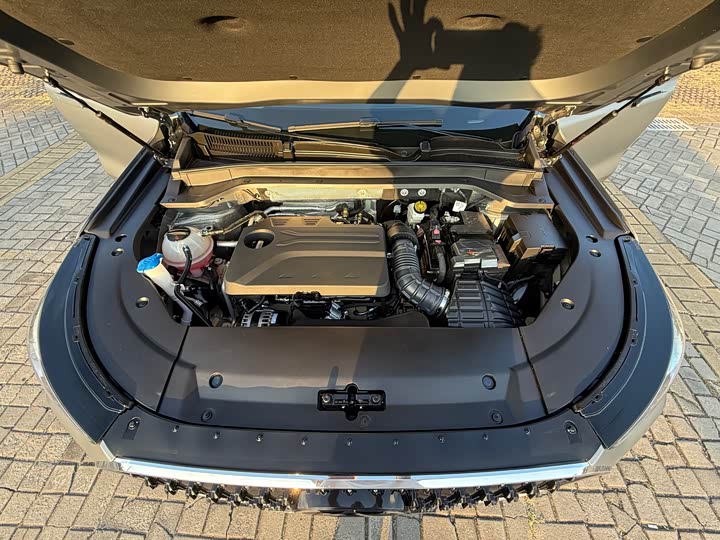 Фото 33 - Chery Tiggo 8L