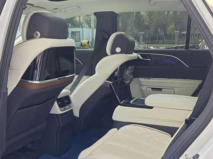 Фото 11 - Hongqi E-HS9