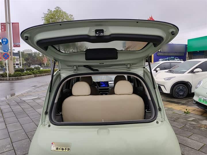 Фото 19 - Ora White Cat