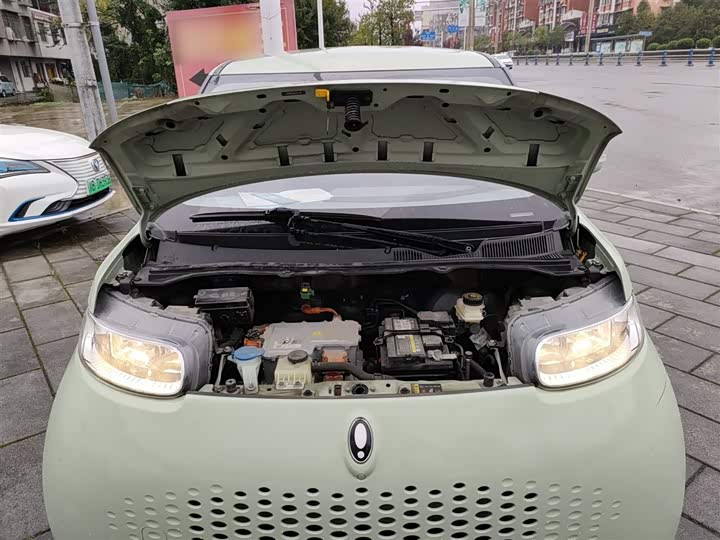 Фото 20 - Ora White Cat