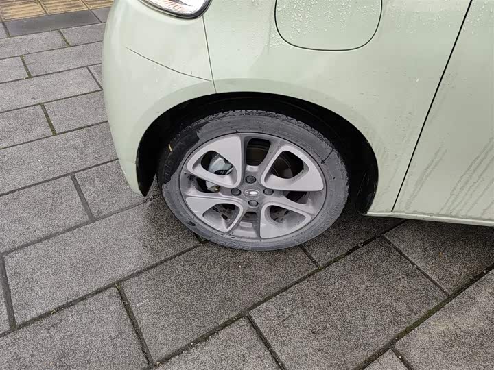 Фото 23 - Ora White Cat